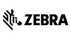 aazebra.jpg